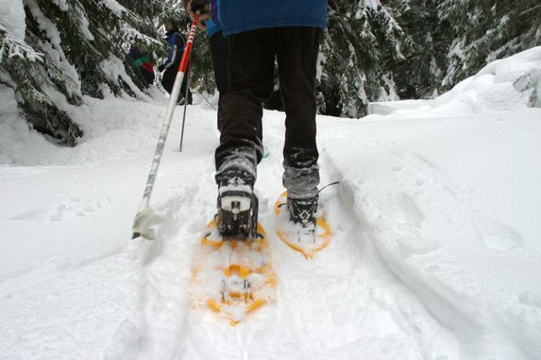 Comment pratiquer et quels équipements pour la raquette à neige ? Site sur les sports et les